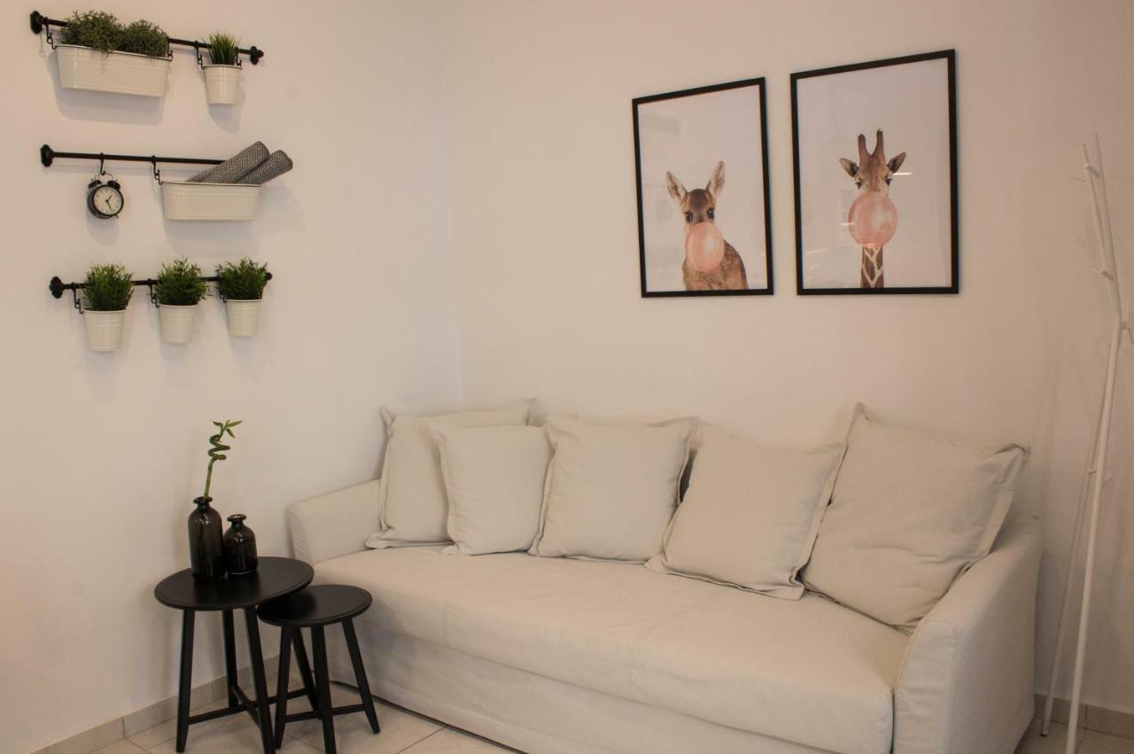 Super Stylish Apartments In Syntagma Square! Atene Esterno foto